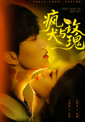 疯犬与玫瑰（80集）每日短剧推荐