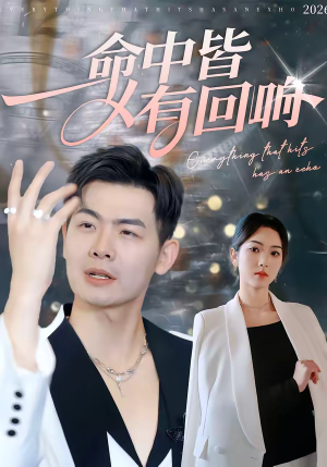 命中皆有回响（62集）热门短剧排行榜