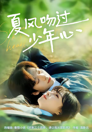 夏风吻过少年心（76集）热门短剧排行榜