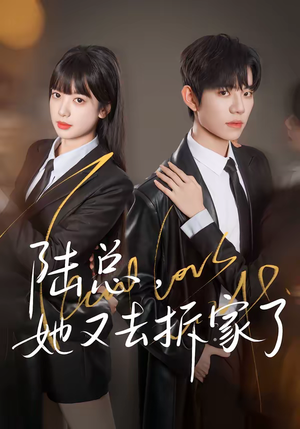 陆总，她又去拆家了（80集）最火的短剧