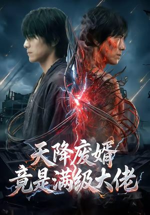 天降废婿竟是满级大佬（58集）一个短剧看全集