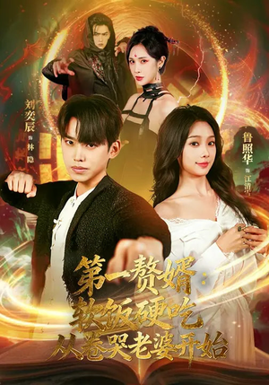 第一赘婿软饭硬吃从卷哭老婆开始(69集) 第一赘婿软饭硬吃从卷哭老婆开始(69集)剧情简介