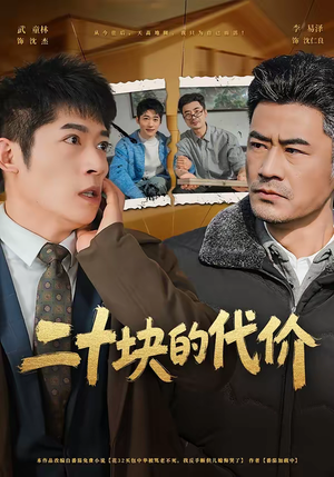 二十块的代价（64集）每日短剧推荐