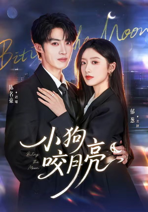 小狗咬月亮（66集）最新上映免费看