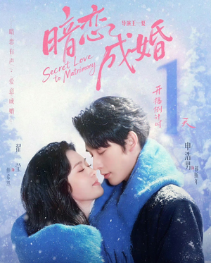 暗恋成婚（60集）我真的爱了