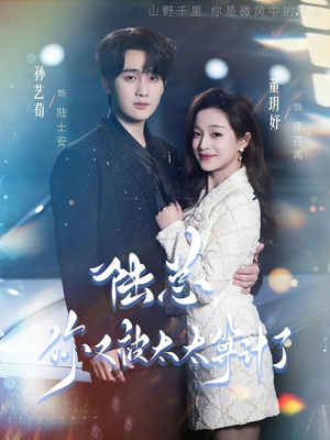 陆总，你又被太太算计了（70集）独家资源免费看