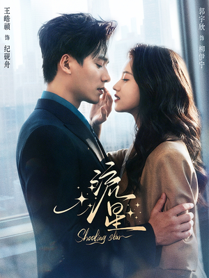 流星（77集）第一季