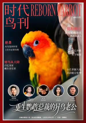 重生鹦鹉：总裁的异鸟老公（80集）口碑爆棚免费看