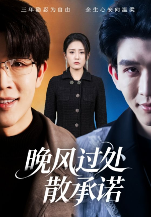 晚风过处散承诺（65集）第一季