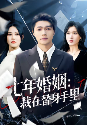 七年婚姻：栽在替身手里（80集）短剧追到爽