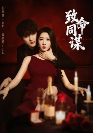 致命同谋（63集）第二季