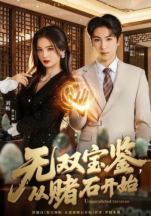 无双宝鉴，从赌石开始（70集）短剧看全集