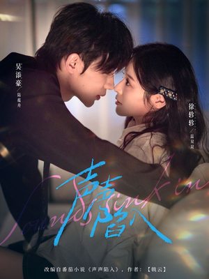 声声陷入(73集) 声声陷入(73集)短剧全集免费