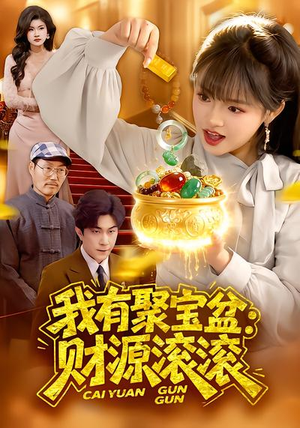 我有聚宝盆：财源滚滚（101集）推荐好短剧