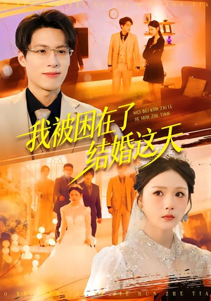 我被困在了结婚这天（40集）追短剧关注我