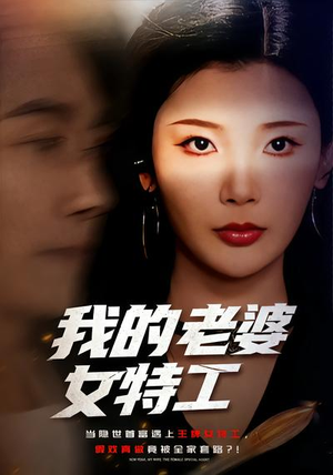 我的老婆女特工(62集) 我的老婆女特工(62集)全网短剧抢先看