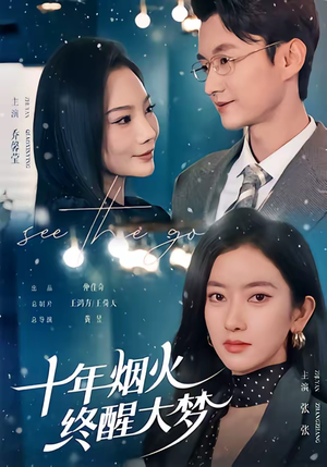 十年烟火，终醒大梦（60集）精彩短剧合集