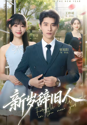 新岁辞旧人（76集）热播短剧推荐
