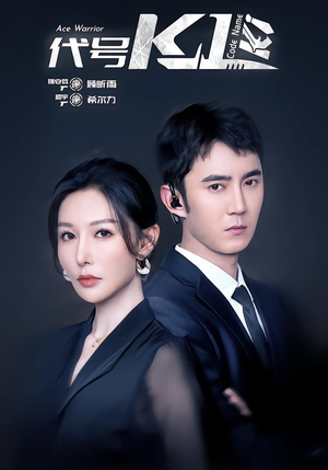 代号K1（43集）全集