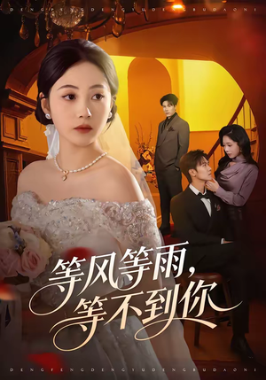 等风等雨，等不到你（65集）1-102集