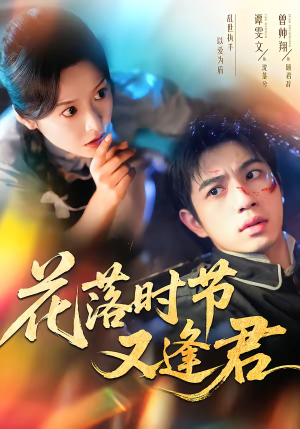 花落时节又逢君（61集）百度网盘资源
