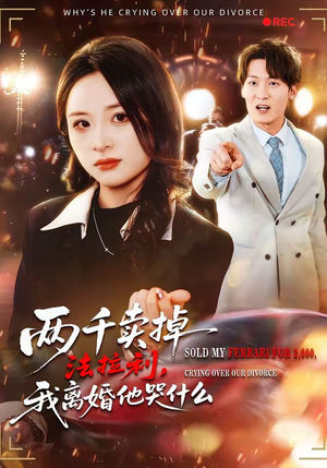 两千卖掉法拉利，我离婚他哭什么（44集）口碑之选免费看