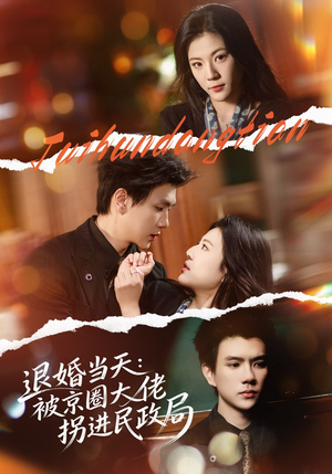 退婚当天：被京圈大佬拐进民政局（80集）全集