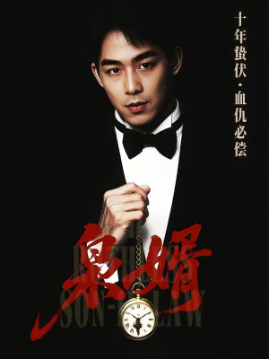 枭婿（62集）热门短剧大全