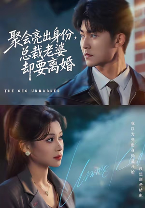 聚会亮出身份，总裁老婆却要离婚（81集）排行榜前十短剧