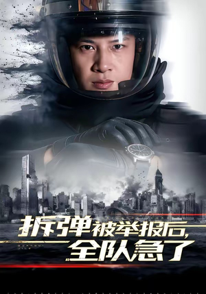 拆弹被举报后,全队急了(50集) 拆弹被举报后,全队急了(50集)一口气看完全集