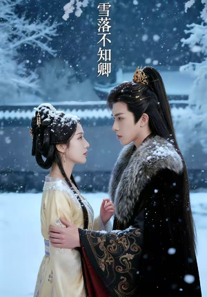 雪落不知卿（62集）全集