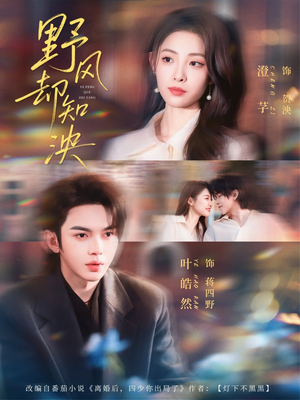 野风却知泱（80集）免费短剧合集