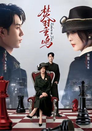 焚羽重鸣（60集）一起追短剧吧