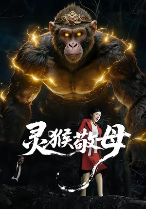 灵猴敬母（50集）在线免费观看