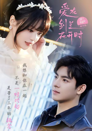 爱在剑兰花开时（56集）第32集