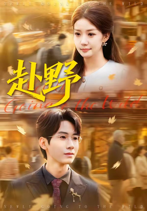 赴野（40集）短剧分享剧集