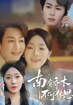 南有乔木，不可休思（68集）经典老剧免费看