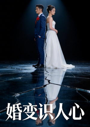婚变识人心（54集）短剧在线更新