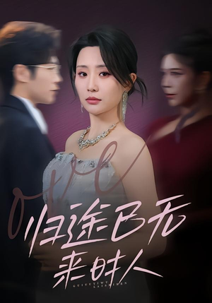 归途已无来时人（70集）推荐热门短剧