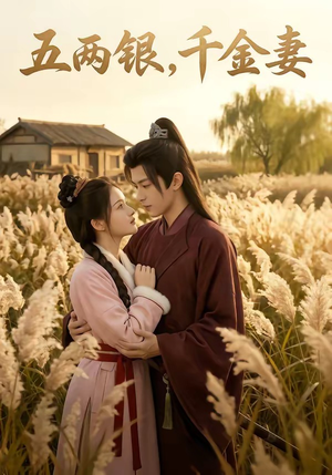 五两银，千金妻（60集）好看短剧抢先看