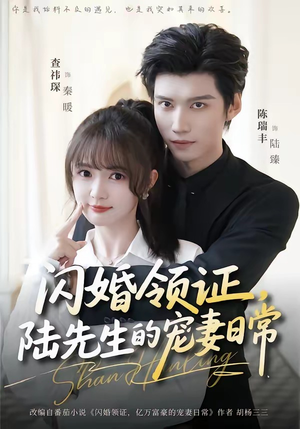 闪婚领证，陆先生的宠妻日常（86集）穿越短剧推荐