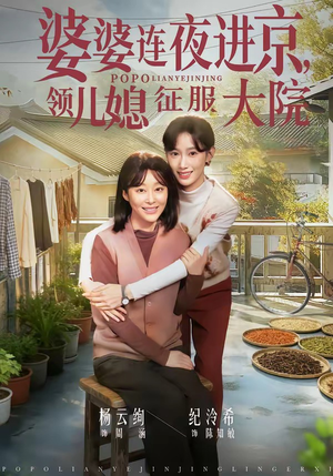婆婆连夜进京，领儿媳征服大院（78集）免费短剧资源