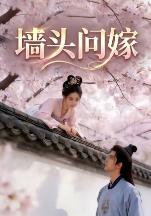 墙头问嫁（29集）在线看完整版