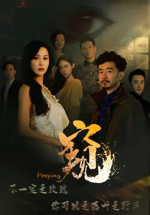 窥伺（37集）让你一口气看完
