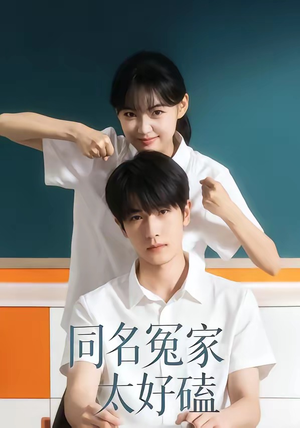 同名冤家太好磕（24集）百度在线观看