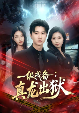 一级戒备：真龙出狱（73集）全集都在这里了