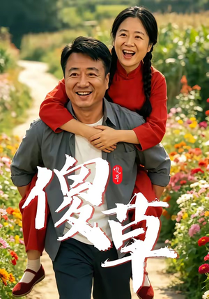 傻草（71集）不用花钱看全剧