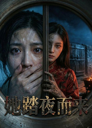 她踏夜而来（40集）好看短剧又来了
