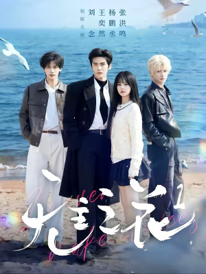 无主之花1（72集）好看上头的短剧