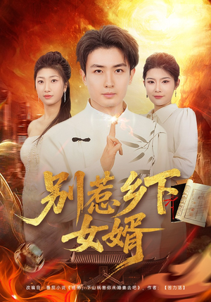 别惹乡下女婿（80集）全集我都看完了